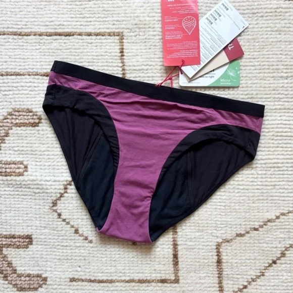 Thinx NWT Modal Cotton Bikini Period Underwear Canyon Large L - Picture 1 of 5